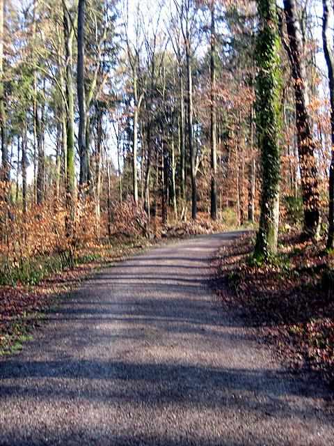 Ort der Entscheidung: Ist das hier der Radweg.... 