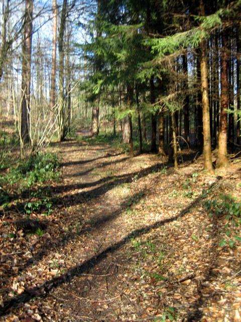 Der ?West?-Singletrail 