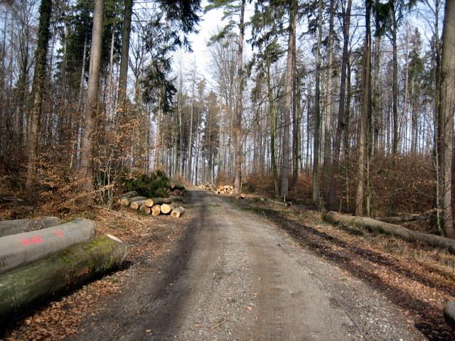 hier wurden die Hindernisse schon entsorgt 