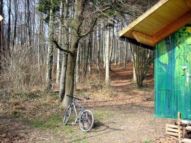 Dort oben geht der Wanderweg weiter auf den Gehrenberg 