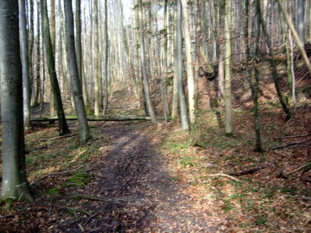 Viel Matsch und Hindernisse 