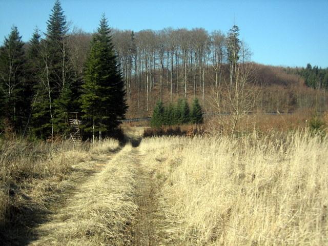 vorne sieht man die Abgrenzung zum Affenberg�