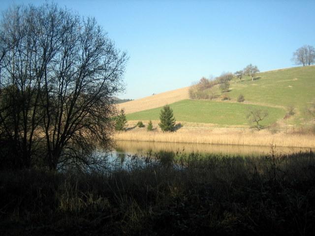 Der Martinsweiher�