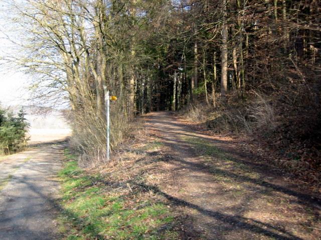 Nein, den schnen Weg gehts nicht hoch�