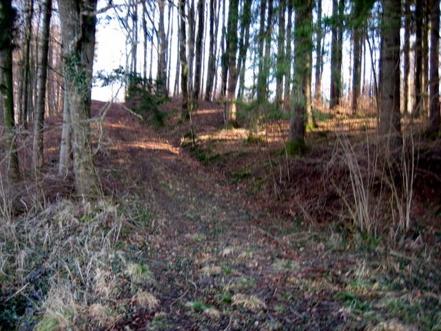 dafr aber hier....�