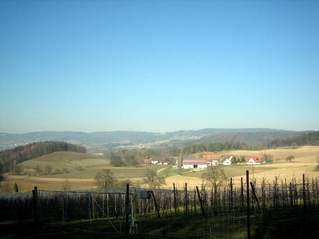 Auf Halber Hhe, blick Richtung Hchsten/Heiligenberg�