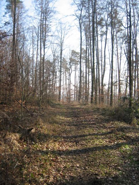 Auf dem Weg nach Bermatingen�