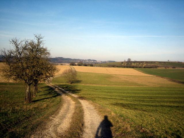 Auf dem Weg nach Bermatingen�