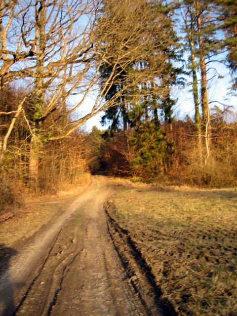 Abzweigung Richtung Harresheim�