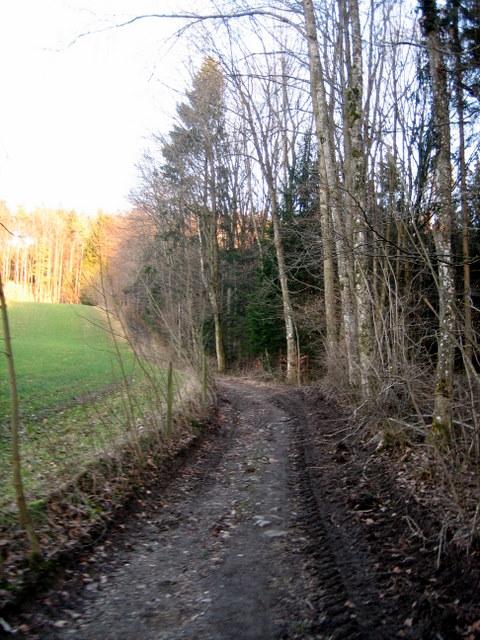 gleich wird's steil. Dieser Weg sollte aber als Downhill-Weg ganz gut sein. 