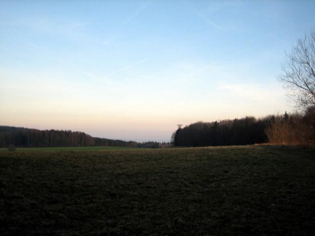 Hinter dem Wald sieht man den Gehrenbergturm bereits�