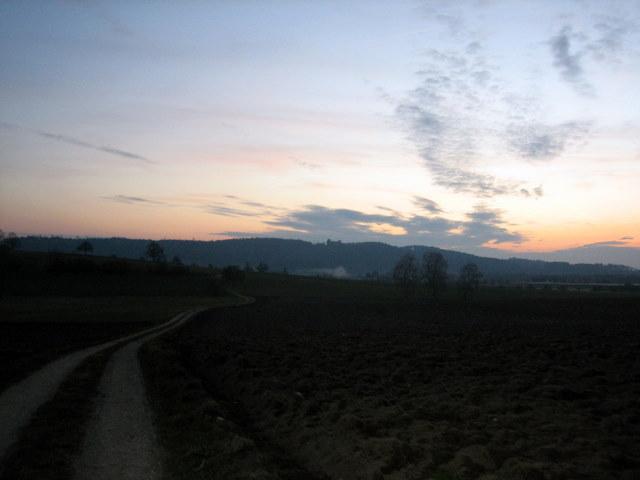 Grasbeuren am Abend 