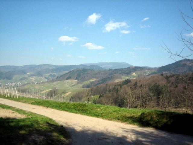 Blick auf die Hornisgrinde 