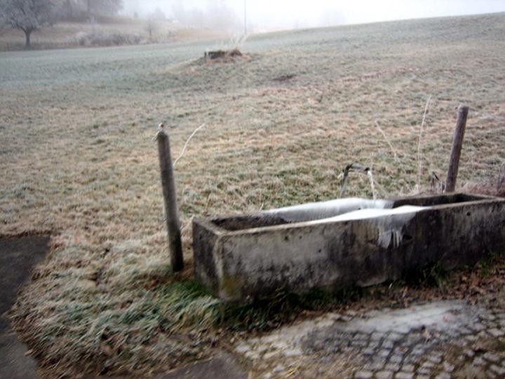 Erfrischung gef�llig? 