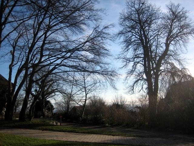 Auf dem Heiligenberg 