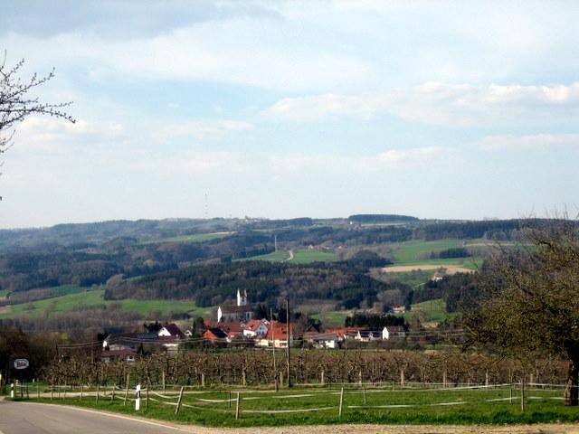 Auf halber H�he Gehrenberg: Blick zum H�chsten 